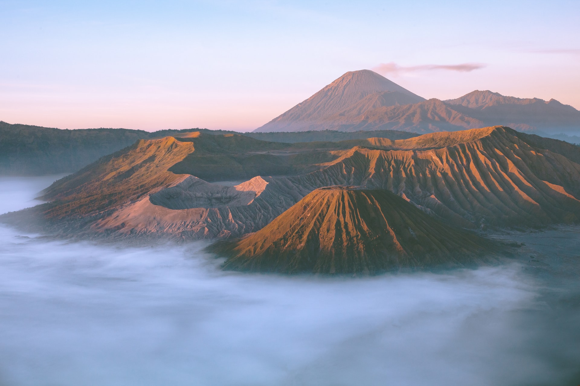 Exotic Bromo